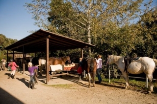  Experiencias para adultos y niños 